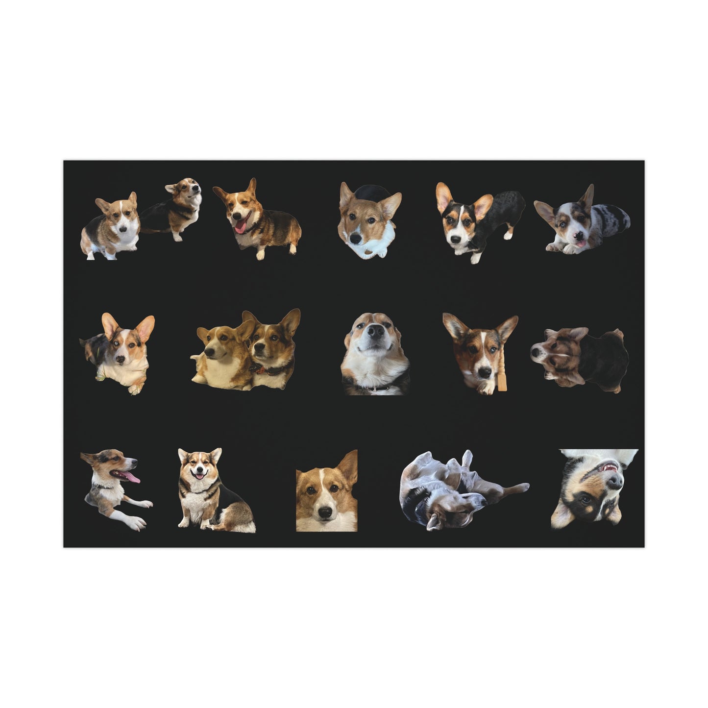 Gift Wrap Papers