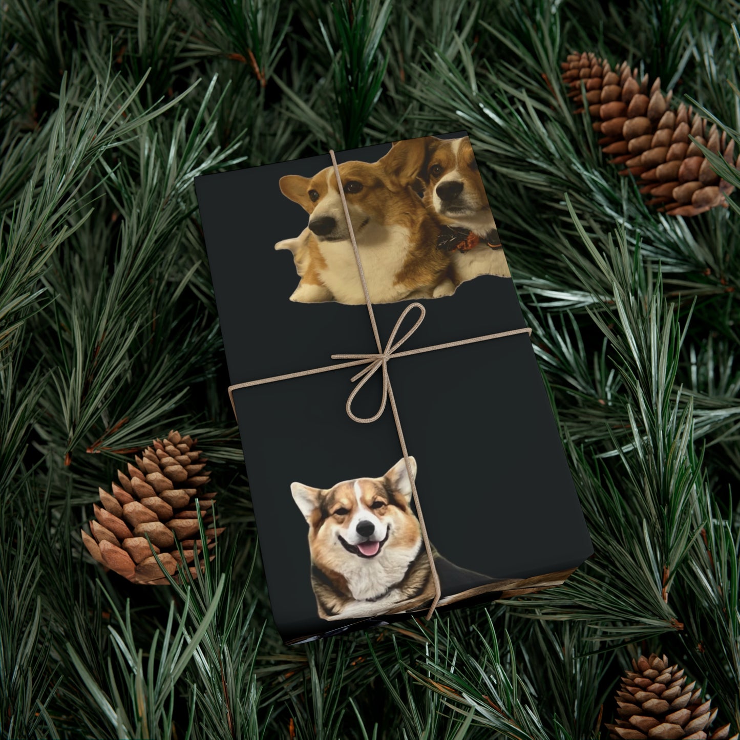 Gift Wrap Papers