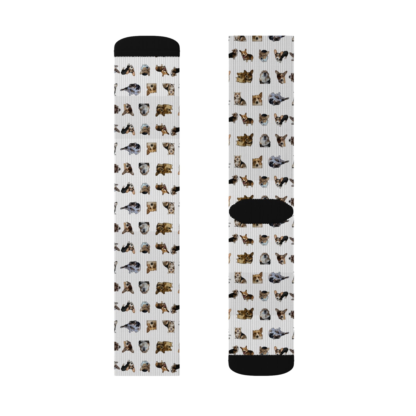 Crazy Corgi Socks