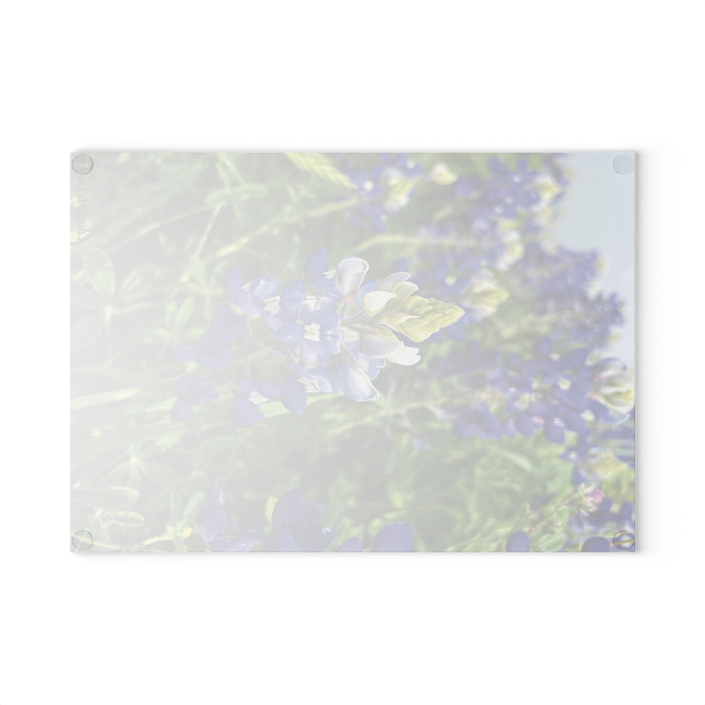 Texas Bluebonnet's, Glass Cutting Board