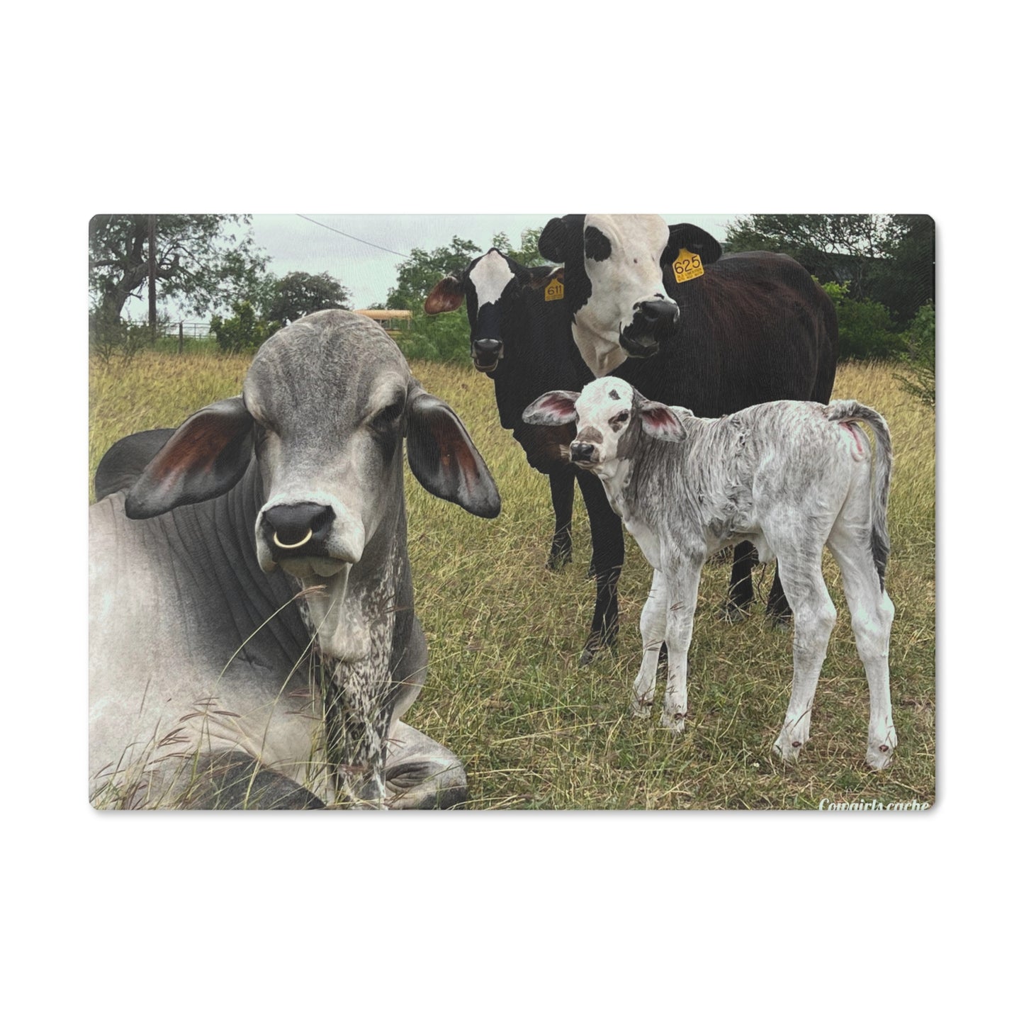 Holy Cow , Cutting Board