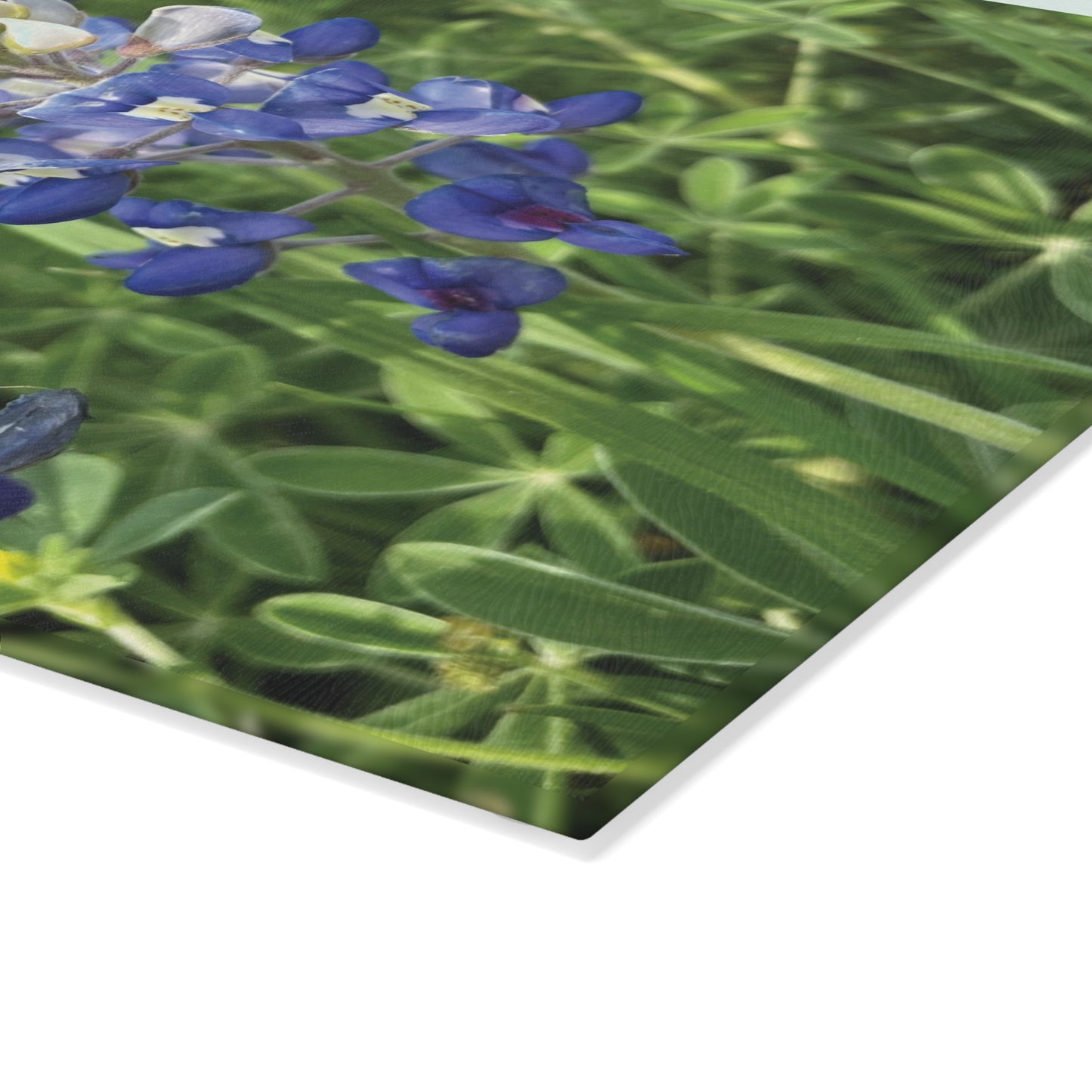 Texas Bluebonnet's, Glass Cutting Board