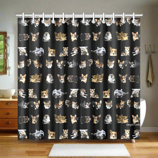 Crazy Corgi Shower Curtain