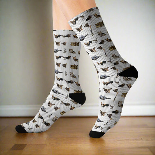 Crazy Corgi Socks