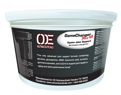 GameChanger Plus
